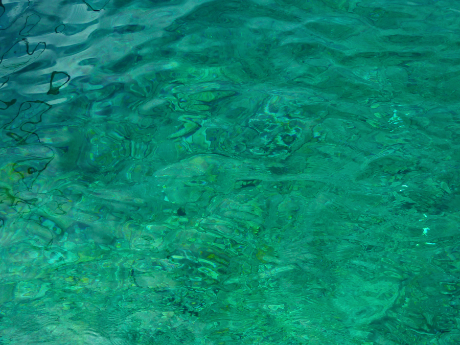 Ocean Serene